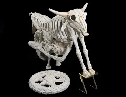 Были бы кости