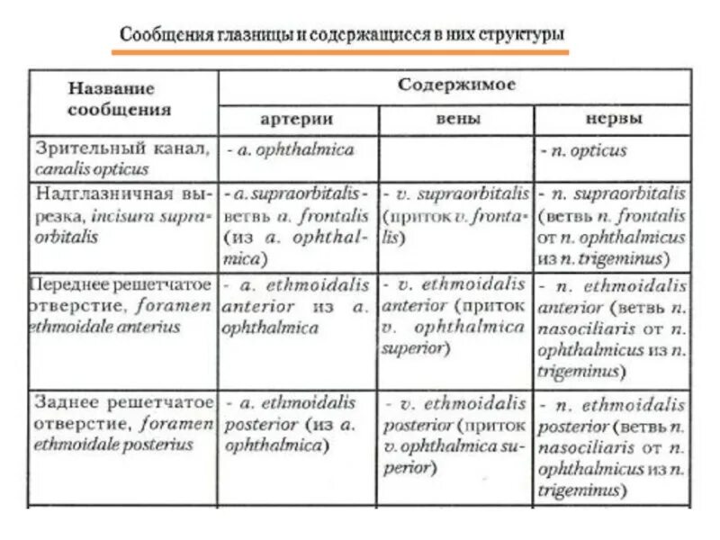 Сообщения глазницы. Сообщения глазницы анатомия таблица. Глазница стенки и сообщения. Глазница сообщения и их содержимое. Глазница стенки сообщения их содержимое.