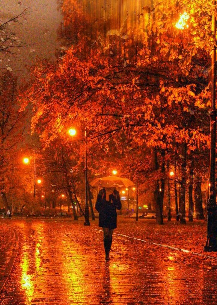 Окно вечер. Осенний парк ночью. Осенними дождливыми вечерами. Осень вечер город. Осень дождь.