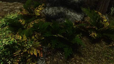 Skyrim plants