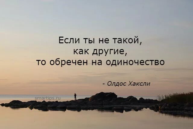 Цитаты про одиночество. Цитаты протодиночество. Одинокий человек цитаты. Цитаты на тему одиночество.