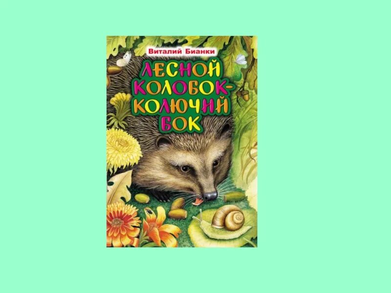 Колобок бианки слушать. Колобок колючий бок в бианки. Лесной колобок бианки. Лесной колобок бианки. Колобок бианки слушать.