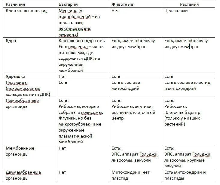 Сходства и различие простейших. Отличие бактериальной клетки от растительной и животной. Отличие животной клетки от бактериальной клетки. Отличия растительной клетки от бактериальной таблица. Таблица сравнение клетки бактериальной.