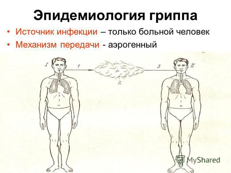 Источник гриппа является. Грипп источник инфекции. Эпидемиология гриппа и ОРВИ. Грипп источник инфекции механизм передачи. Аэрогенный механизм передачи.