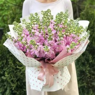 Маттиола букет