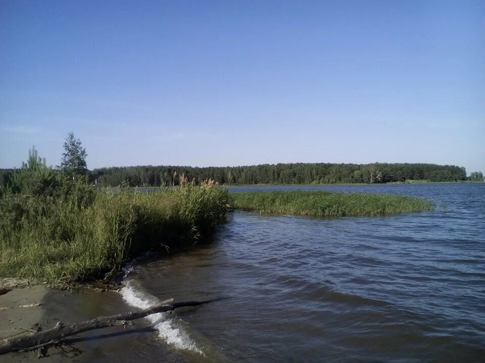 Р шарап. Река Шарап Новосибирская область. Деревня новый Шарап Новосибирская. Шарап Новосибирск. Озера в Шарапе.