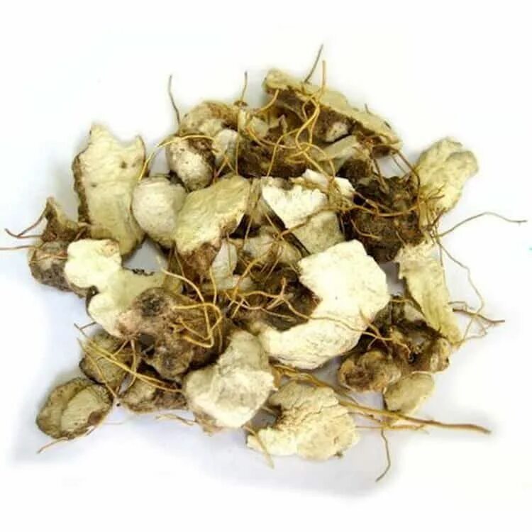 Диоскореи кавказской корневища. Диоскорея ниппонская. Корень диоскореи кавказской. Диоскорея кавказская сырье. Диоскореи кавказской корневища.