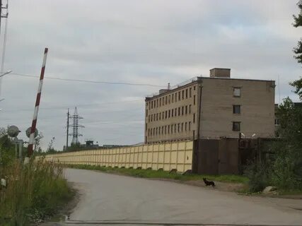 Колонии санкт