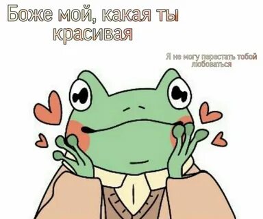 Хайдарова лягушка