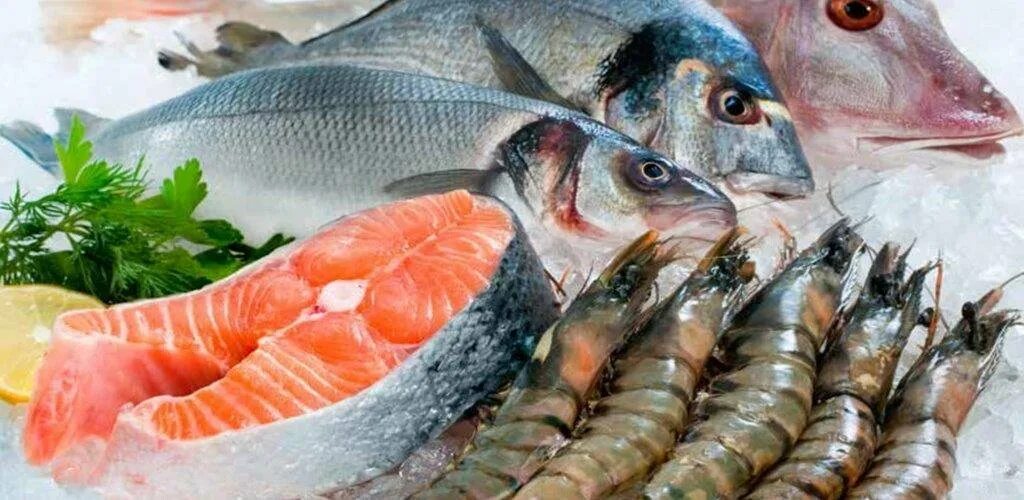 Какую свежую рыбу можно. Какую свежую рыбу можно