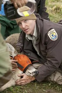 Wildlife services