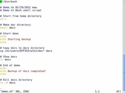 Bash script variables