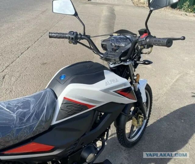 Promax alpha rs. Alpha rs 13. alpha rs 13 champ. мопед альфа rs 13. alpha rs13 champ 125.