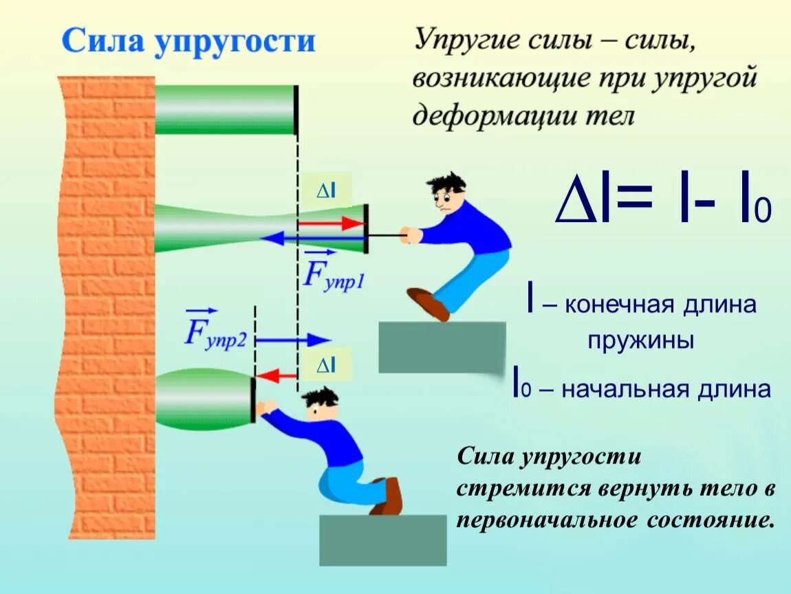 Сила ,сила упругости физика 7 класс. Сила упругости формула 7 класс. Сила упругости 7 класс физика. Сила упругости 10 класс физика. При действии каких сил уменьшение