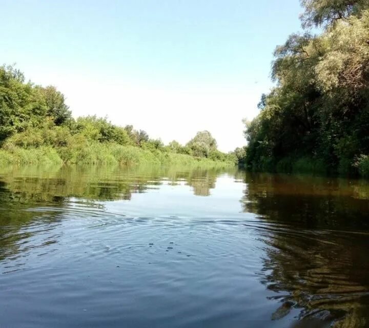 Село урицкое саратовская область. Саратовская обл лысогорский район деревня пески река пахра фото.