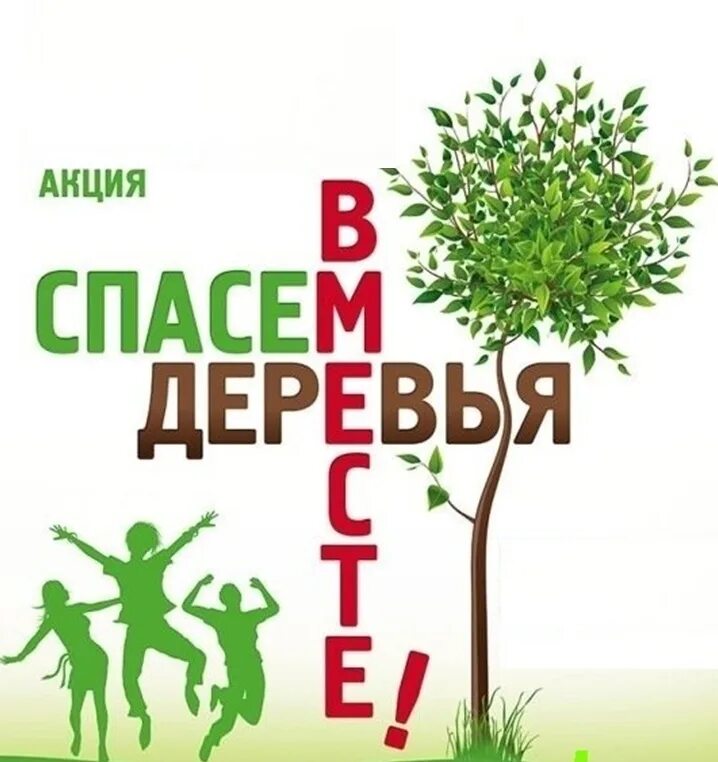 Акция спасем дерево. Экологическая акция Спаси дерево. Сбор макулатуры. Акция посади дерево.