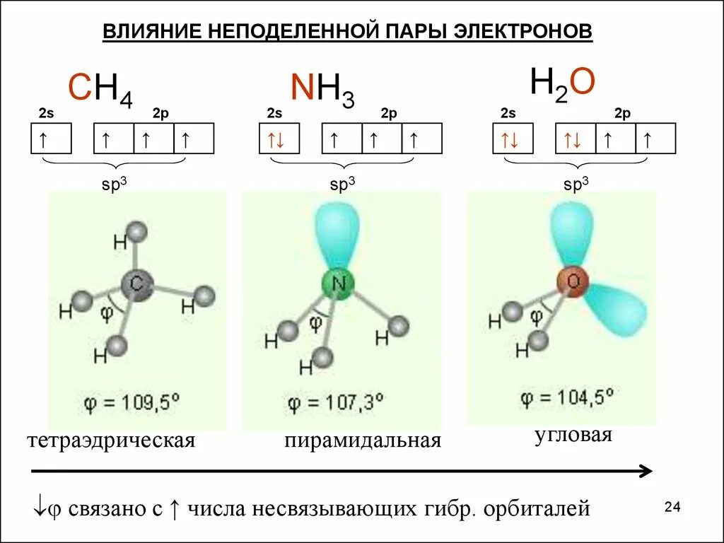 Сдвиг общих электронных пар. Теория отталкивания электронных пар валентных орбиталей. Неподеленная пара электронов. Неподеленные электронные пары. Число неподеленных электронных пар.