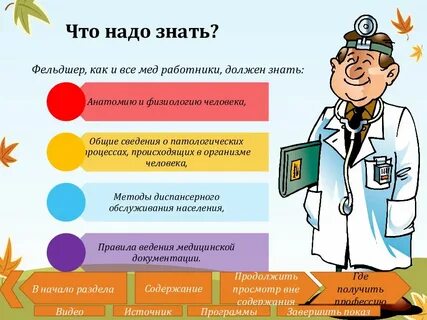 Чем отличается врач от фельдшера