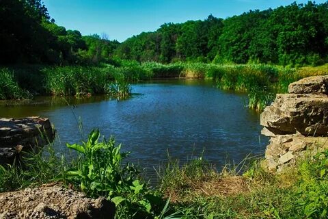 Балка реки