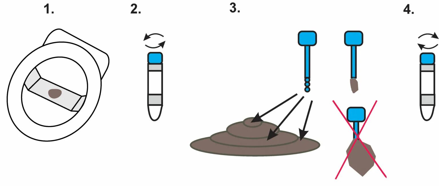 За сколько часов собрать кал. Как собрать кал на анализ. Этапы сбора кала на анализ. Как правильнотсдать анализ кала. Как собрать калл для анализа.