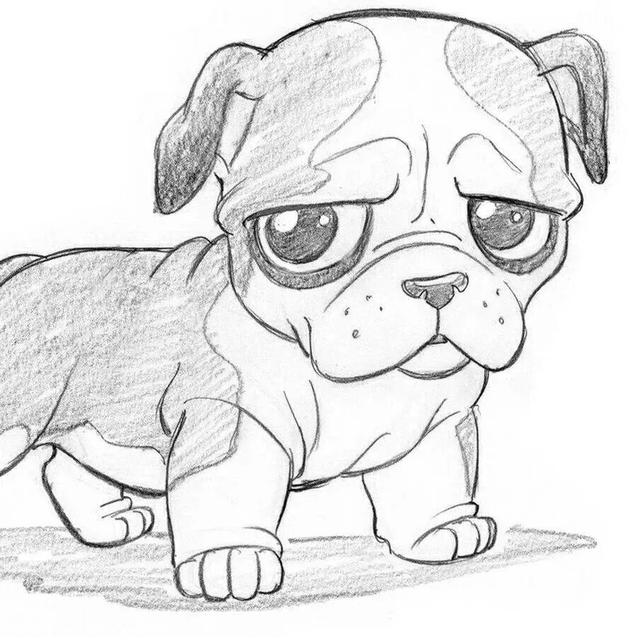 Быстрый красивый рисунок. Рисунок собаки для срисовки. Рисунки собак для срисовки лёгкие. Рисунок щенка для срисовки. Картинки собак для срисовки.