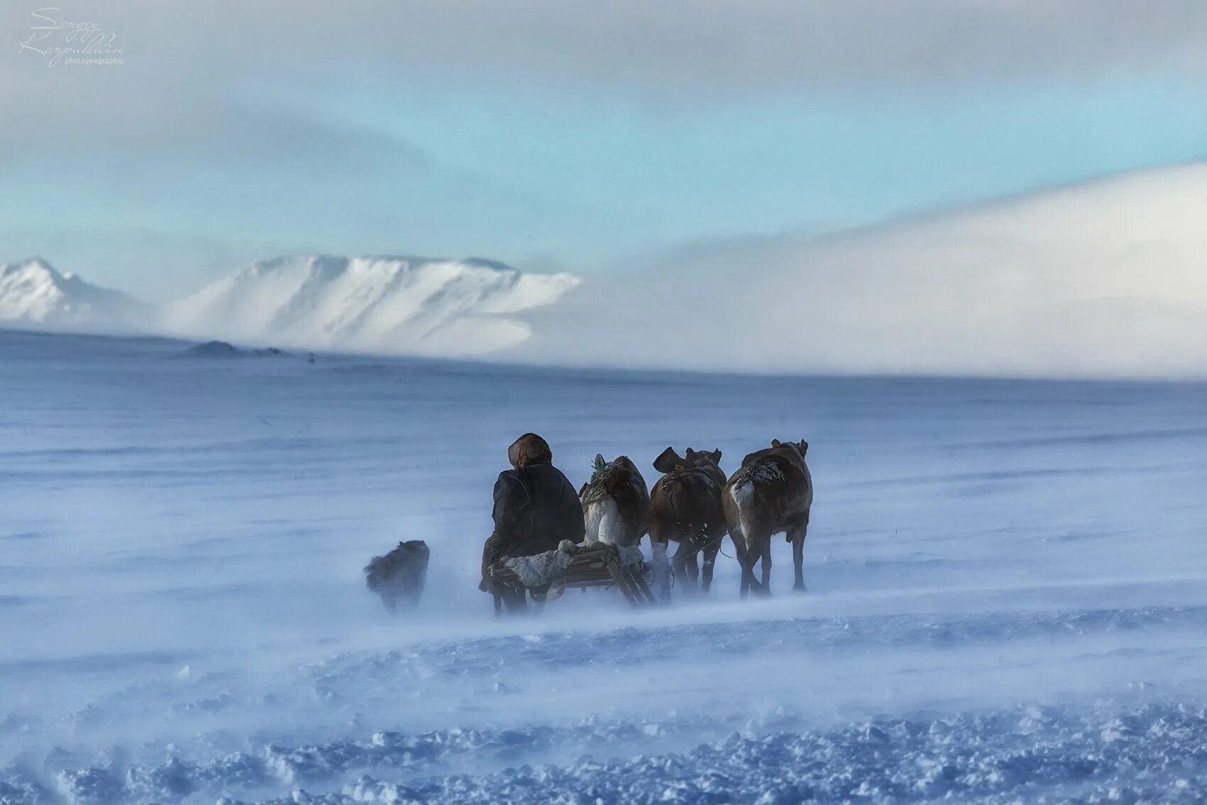 Исландия Северный Ледовитый океан. Арктика Россия. Полярный край. Жизнь в Арктике. От южных морей до полярного края материал