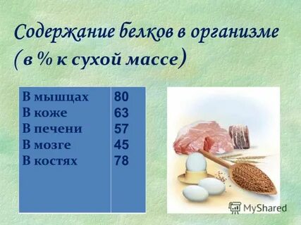 Сера содержится в белках