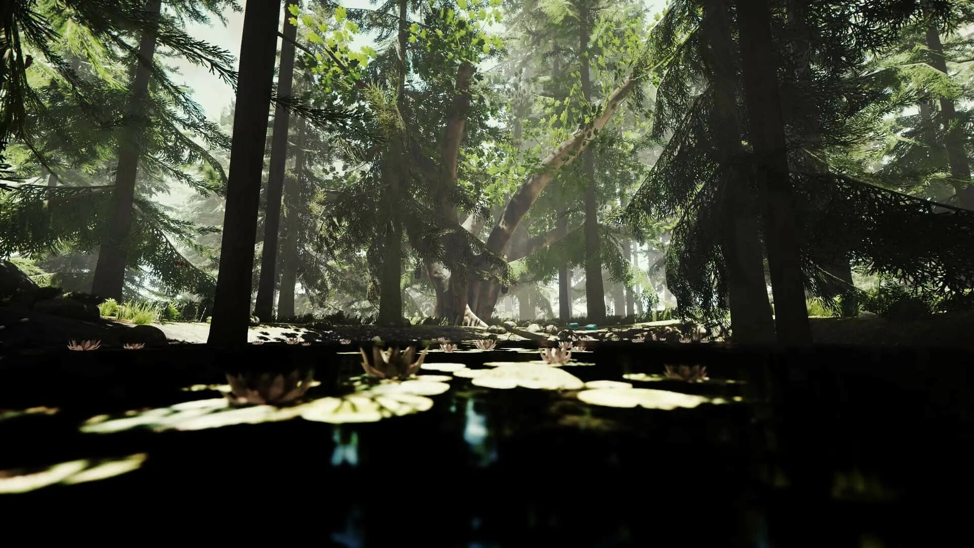 The were going the forest. The Forest лес. The Forest 1.12. Тхе Форест 2. The Forest 4k игра.