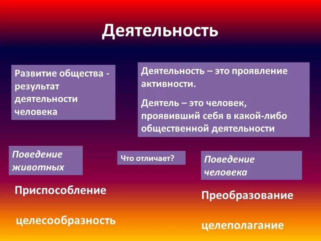 Деятельность человека делится на. Деятельность это в обществознании кратко. Деятельность это. Деятельность человека Обществознание кратко. Человеческая деятельность это в обществознании.