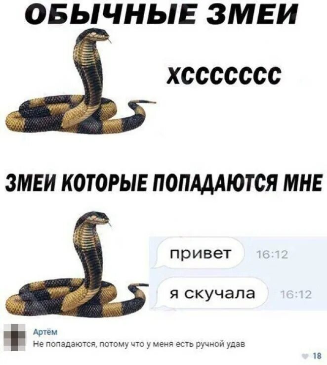 Змею не дам