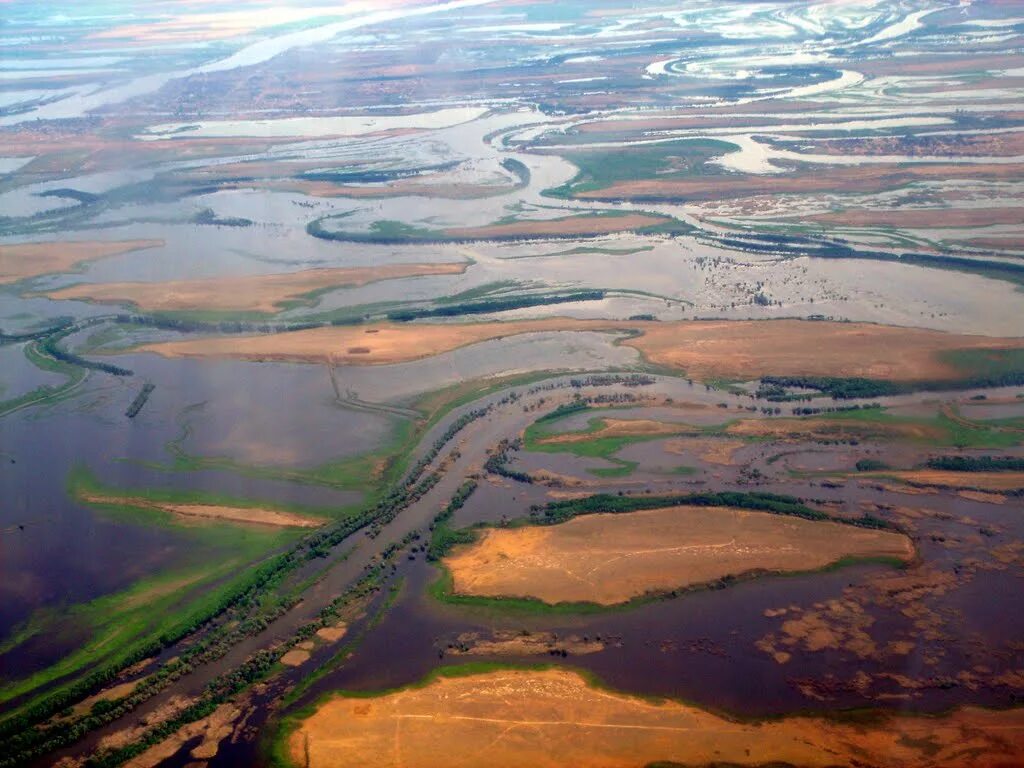 Устье много. Каспийское море Дельта Волги. Дельта реки Волга Астраханская область. Астрахань Устье Волги. Устье реки Волга Дельта эстуарий.