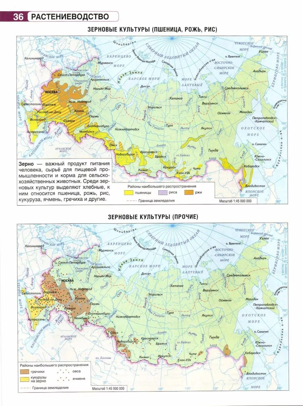 Карта сельскохозяйственных районов россии. Карта сельского хозяйства России 9 класс атлас. Атлас сельскохозяйственных районов России. Зерновые культуры России карта. Карта Растениеводство 9 класс география.