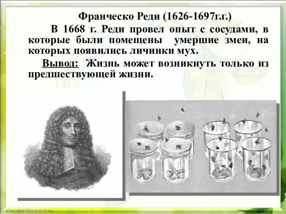 Франческо реди 1626 – 1697 г.г.. Гипотеза самозарождения Франческо реди. Опыты Франческо реди, 1668 г.. Франческо реди опыт с мясом и мухами.