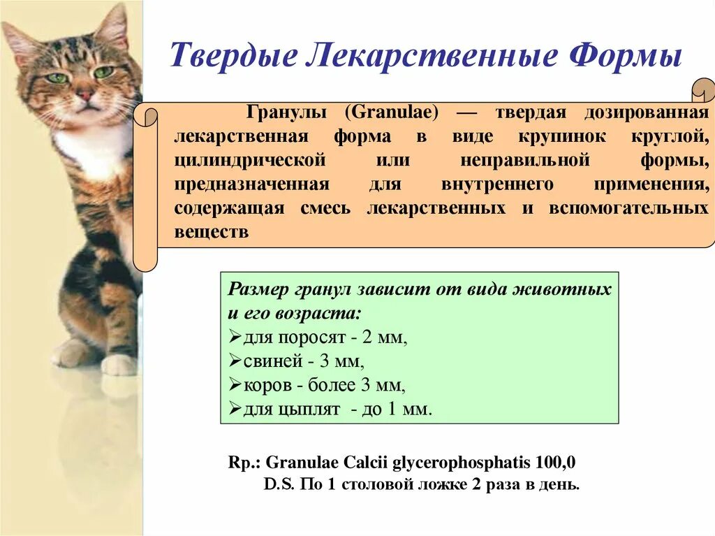 Тест твердые лекарственные формы. Твердые лекарственные формы. Дозированные Твердые лекарственные формы. Твердые лекарственные формы фармакология. Твердые ветеринарные лекарственные формы.