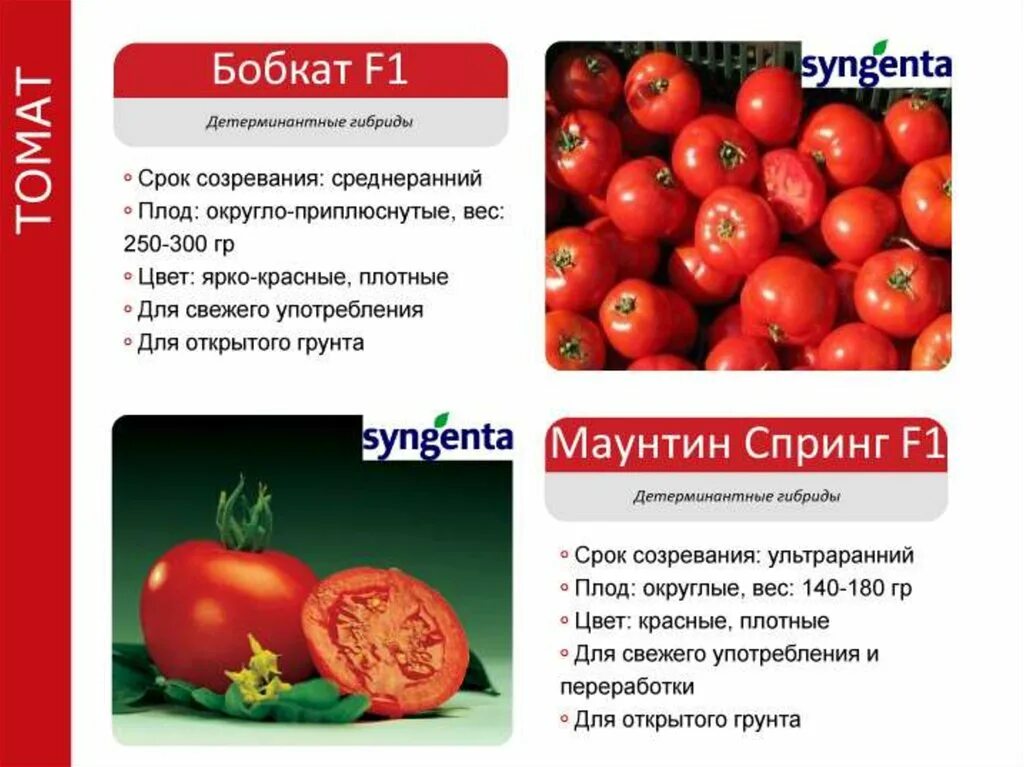 Бобкат описание сорта. Томат бобкат ф1. бобкат томат голландия. бобкат томат характеристика. бобкат томат семена описание.