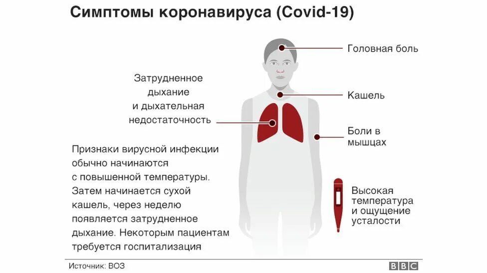 Температура симптом какой болезни. Температура симптом какой болезни