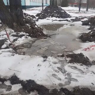 Новости чп великий
