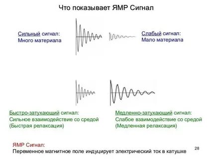 Эхо сигнал