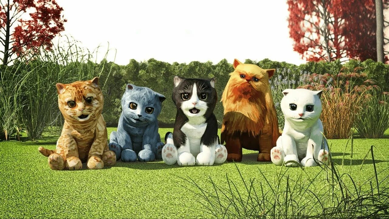 Catsim