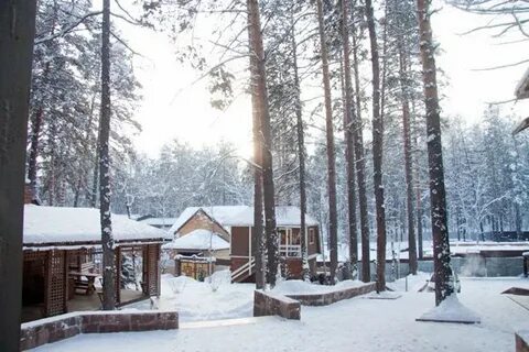 Ок лесной иркутск