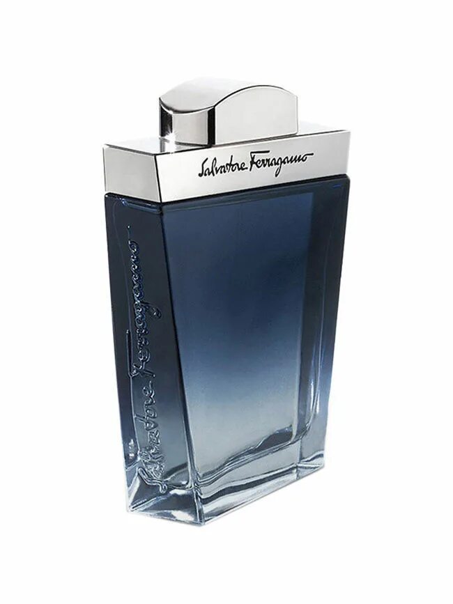 Мужские духи купить спб. Salvatore Ferragamo Subtil men EDT men 100ml. Salvatore Ferragamo 100ml EDT homme. Salvatore Ferragamo Subtil духи мужские. Ferragamo Salvatore men туалетная вода.