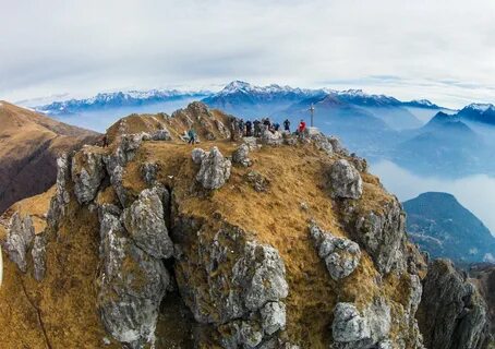 Monte parivision