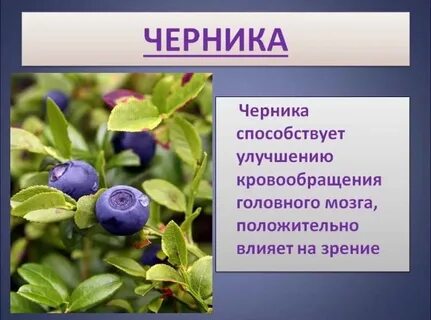 Черника от какого слова