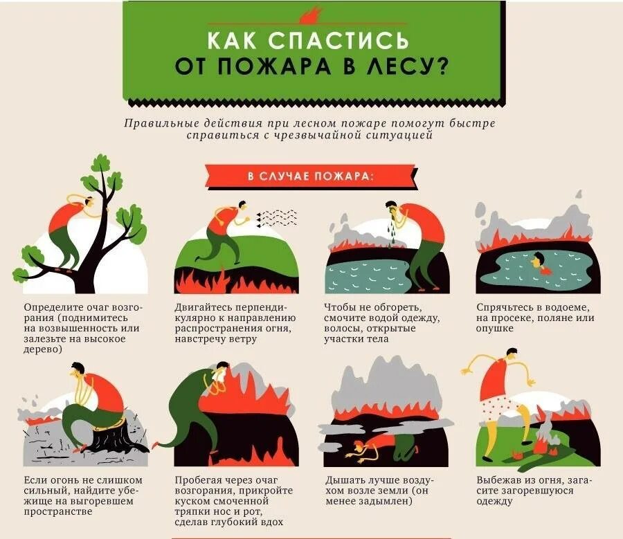 Памятка действия при Лесном пожаре. Алгоритм действий при пожаре в лесу. Памятка поведение при обнаружении очага пожара в лесу. Алгоритм действий при Лесном пожаре. Спастись почему а