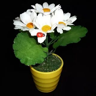Ромашки в горшке