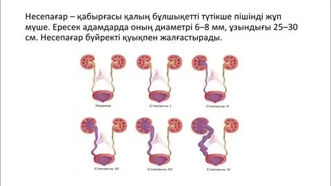Орыс порно үлкен оргазм