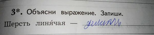 Значение слова шерсть. Объясни значение выражения шерсть линячая. Шерсть выражение. Шерсть выражение. Виды шерстяных волокон.
