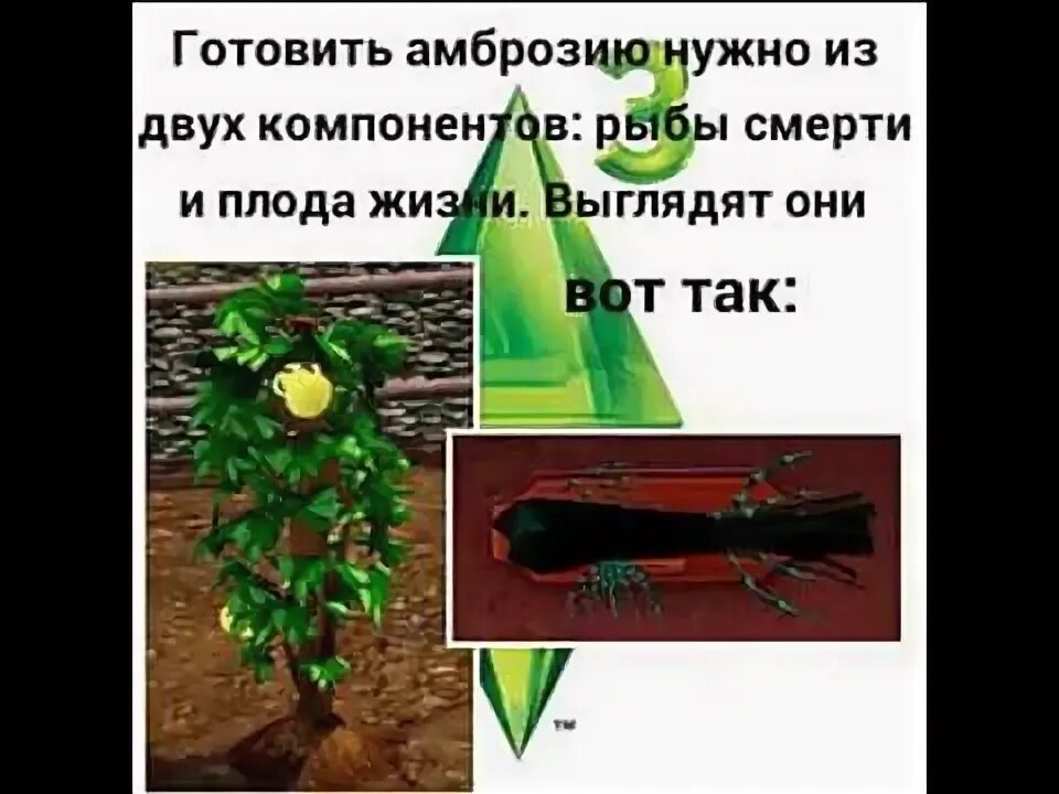 Амброзия которую зевс запивал нектаром. Амброзия напиток. амброзия это напиток богов из чего. амброзия напиток богов рецепт. амброзия (мифология).