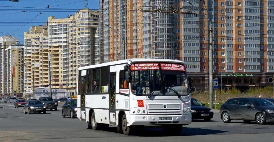 Золотой автобус спб. Коммерческий автобус. Коммерческие маршрутки. Коммерческие автобусы СПБ. Маршрутки СПБ.