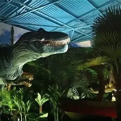 Выставка динозавров пермь 2024. Выставка динозавров Уссурийск. Охта Молл выставка динозавров. Мой порт выставка динозавров.